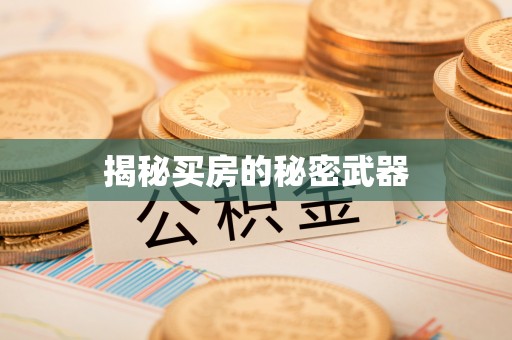 机会揭秘买房的秘密武器