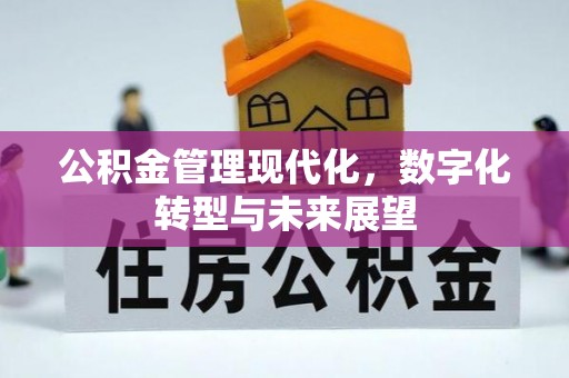 机会公积金管理现代化，数字化转型与未来展望