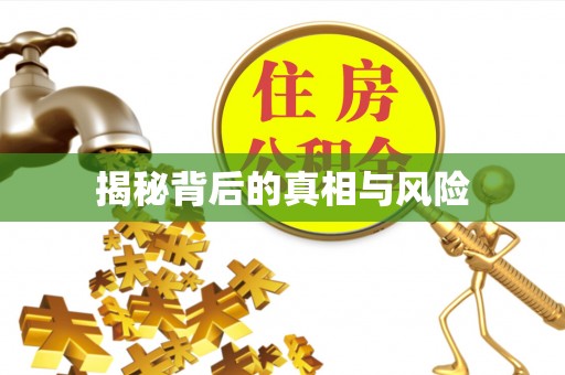 机会揭秘背后的真相与风险