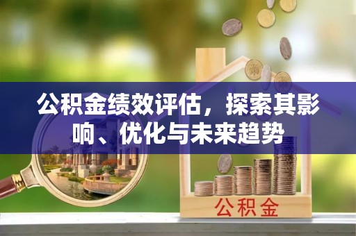机会公积金绩效评估，探索其影响、优化与未来趋势
