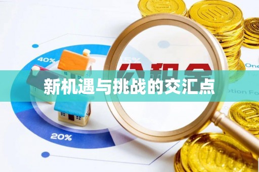 机会新机遇与挑战的交汇点