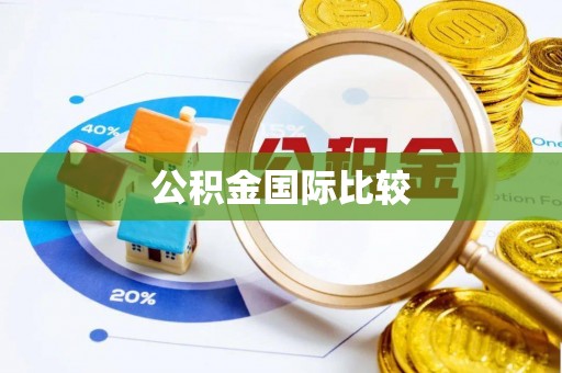 机会公积金国际比较
