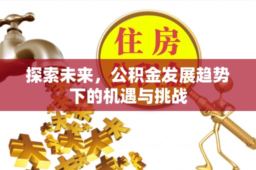 机会探索未来，公积金发展趋势下的机遇与挑战