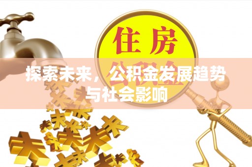 机会探索未来，公积金发展趋势与社会影响