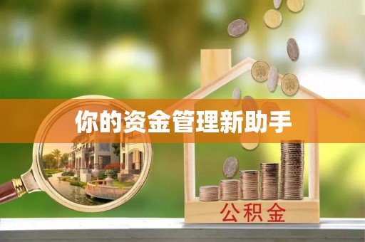 机会你的资金管理新助手