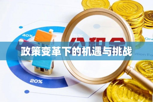 机会政策变革下的机遇与挑战