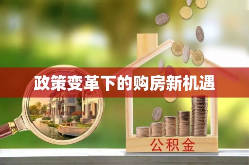机会政策变革下的购房新机遇