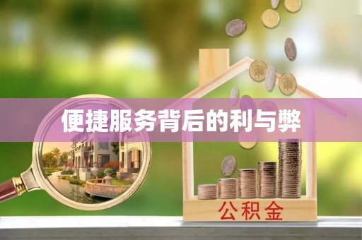 机会便捷服务背后的利与弊