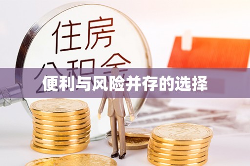 机会便利与风险并存的选择