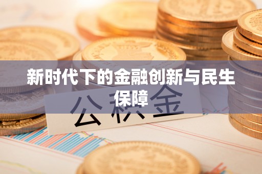 机会新时代下的金融创新与民生保障